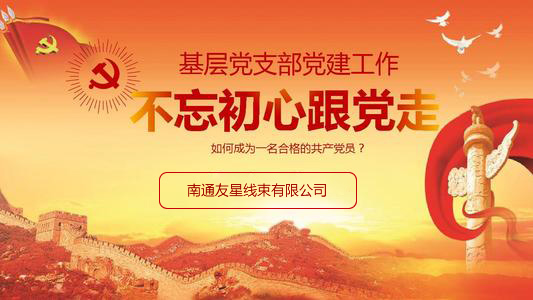 学党章党规，做合格党员